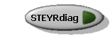 STEYRdiag